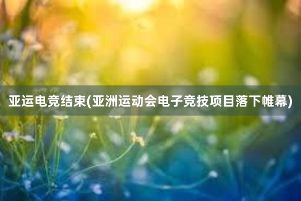 亚运电竞结束(亚洲运动会电子竞技项目落下帷幕)