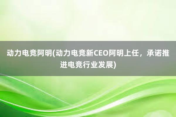 动力电竞阿明(动力电竞新CEO阿明上任，承诺推进电竞行业发展)