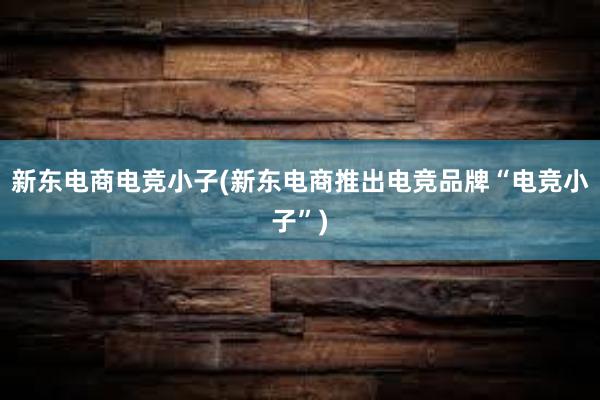 新东电商电竞小子(新东电商推出电竞品牌“电竞小子”)