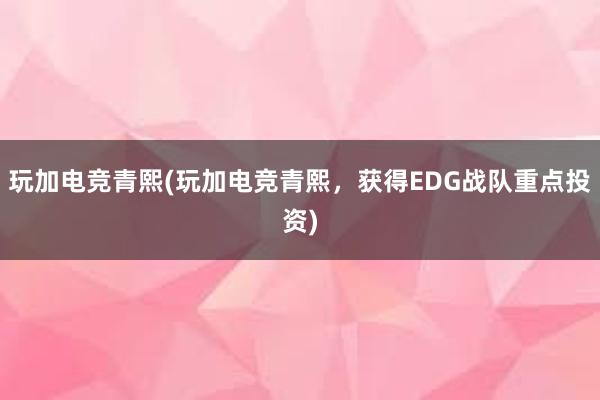 玩加电竞青熙(玩加电竞青熙，获得EDG战队重点投资)