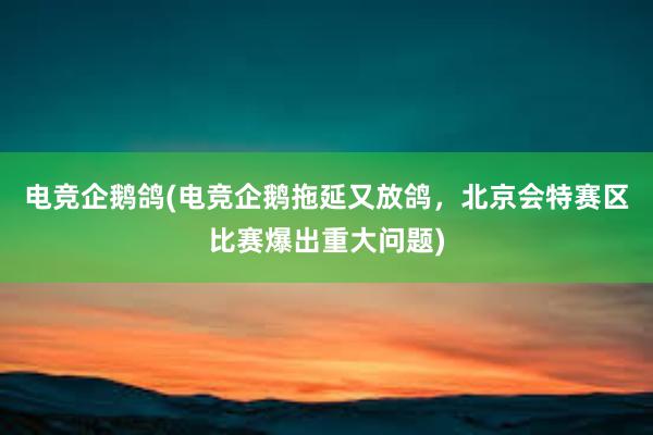 电竞企鹅鸽(电竞企鹅拖延又放鸽，北京会特赛区比赛爆出重大问题)