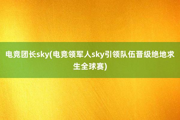 电竞团长sky(电竞领军人sky引领队伍晋级绝地求生全球赛)