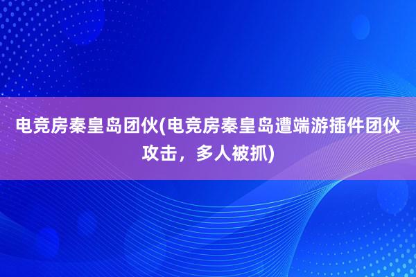 电竞房秦皇岛团伙(电竞房秦皇岛遭端游插件团伙攻击，多人被抓)