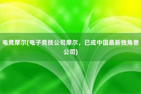 电竞摩尔(电子竞技公司摩尔，已成中国最新独角兽公司)