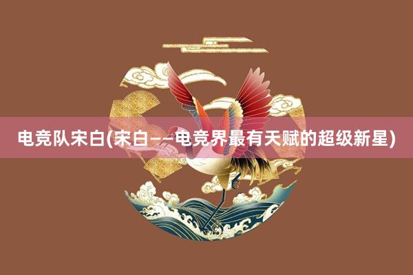 电竞队宋白(宋白——电竞界最有天赋的超级新星)