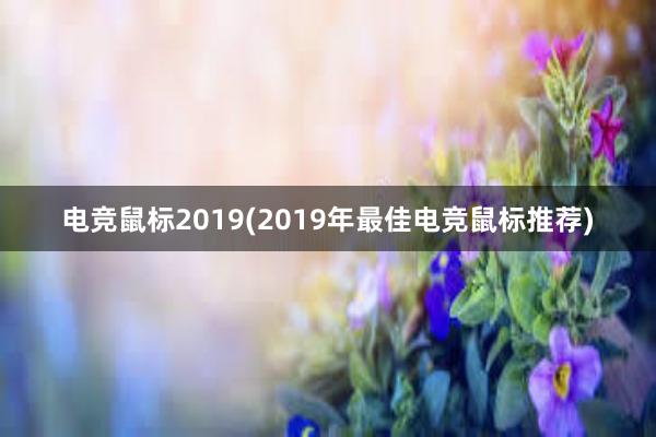 电竞鼠标2019(2019年最佳电竞鼠标推荐)