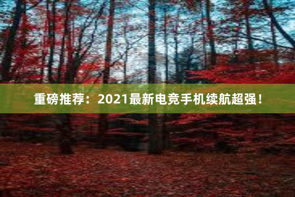 重磅推荐：2021最新电竞手机续航超强！