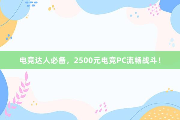 电竞达人必备，2500元电竞PC流畅战斗！