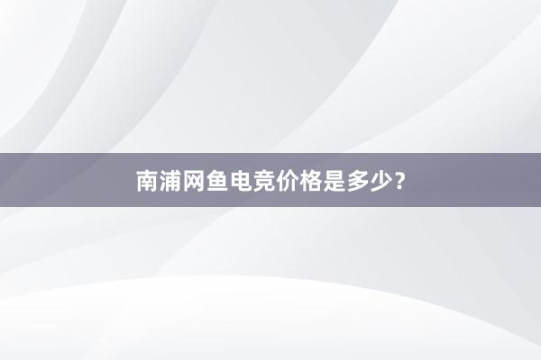 南浦网鱼电竞价格是多少？