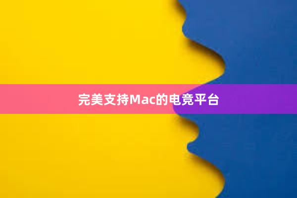 完美支持Mac的电竞平台