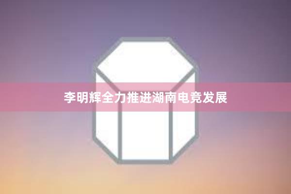 李明辉全力推进湖南电竞发展