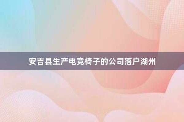 安吉县生产电竞椅子的公司落户湖州