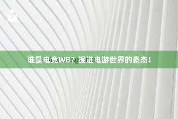 谁是电竞WB？掘进电游世界的豪杰！