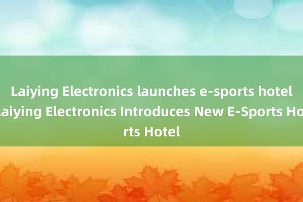 Laiying Electronics launches e-sports hotel - Laiying Electronics Introduces New E-Sports Hotel